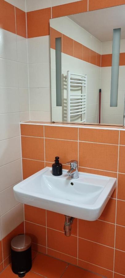 Apartman Pavlov Palavske Vinohrady Kültér fotó